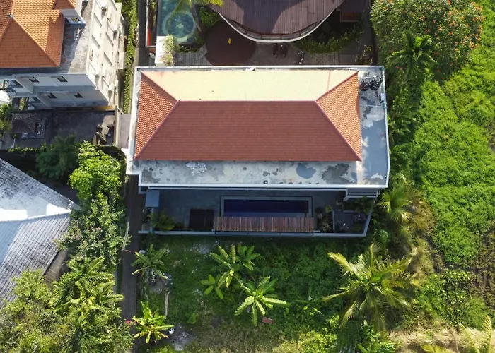 Alingga *